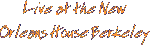 live at the New-Orleans house, berkeley